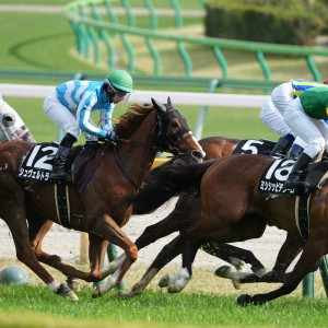 2024/4/20 湘南S(3勝クラス)