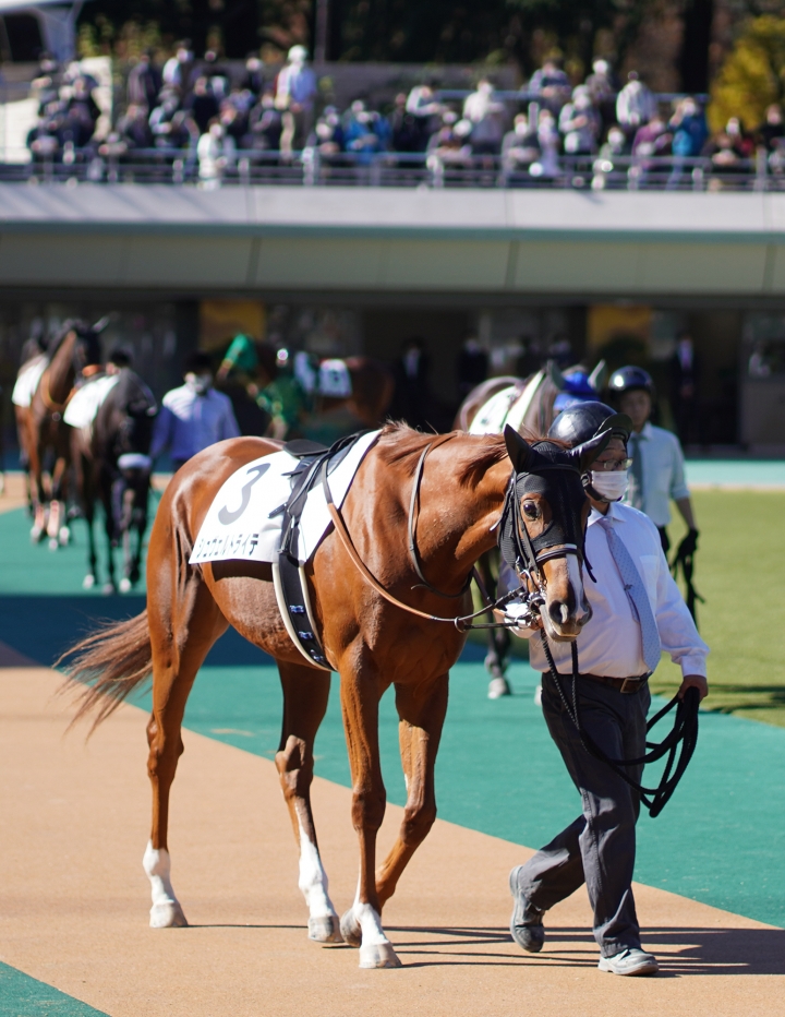 2021/11/13 2歳新馬 シュヴェルトライテ