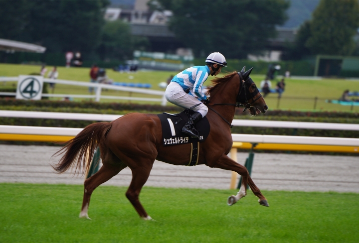 2022/10/16 鷹巣山特別(2勝クラス) シュヴェルトライテ