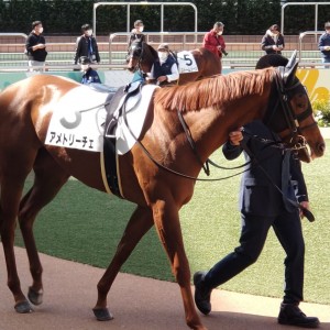 2022/3/5 3歳1勝クラス