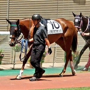 2022/7/10 3歳未勝利