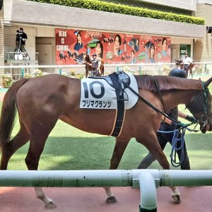 2022/7/10 3歳未勝利