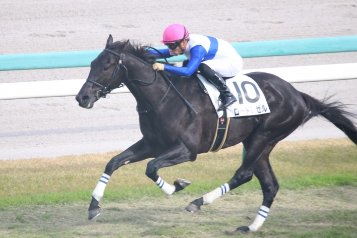 2021年11月 ロードレゼル