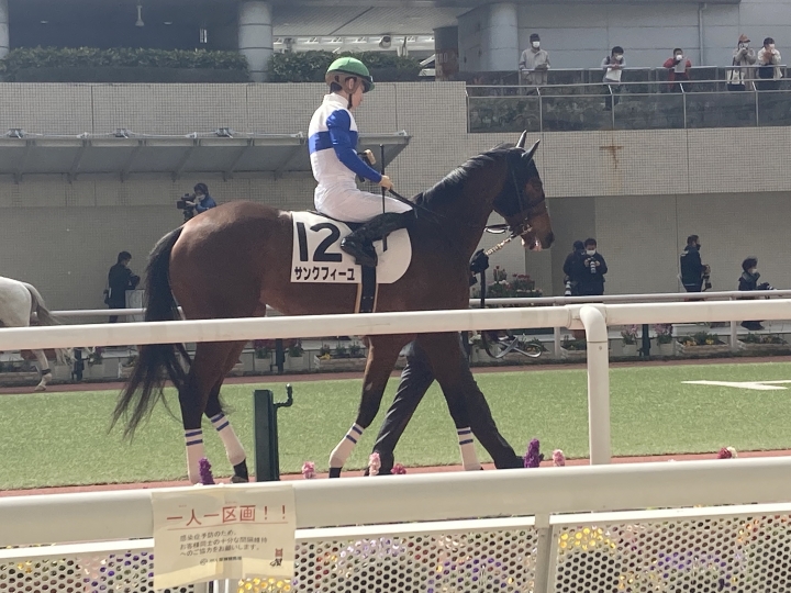 2022/3/5 3歳未勝利 サンクフィーユ