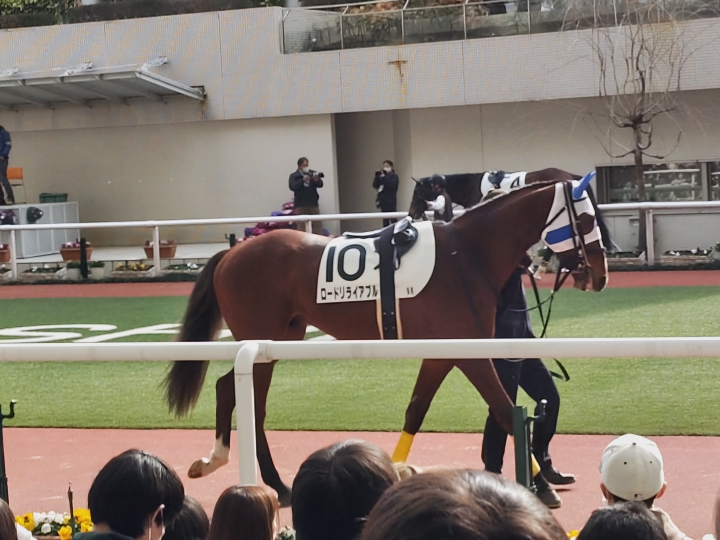 2023年2月 ロードリライアブル