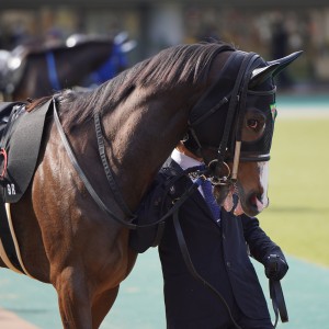 2023/2/12 初音S(3勝クラス)