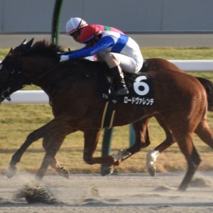 19戦目最後の直線