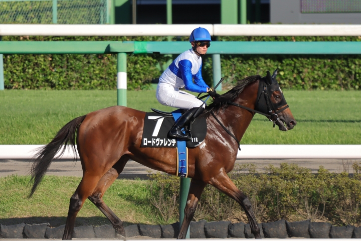 2023年9月 ロードヴァレンチ