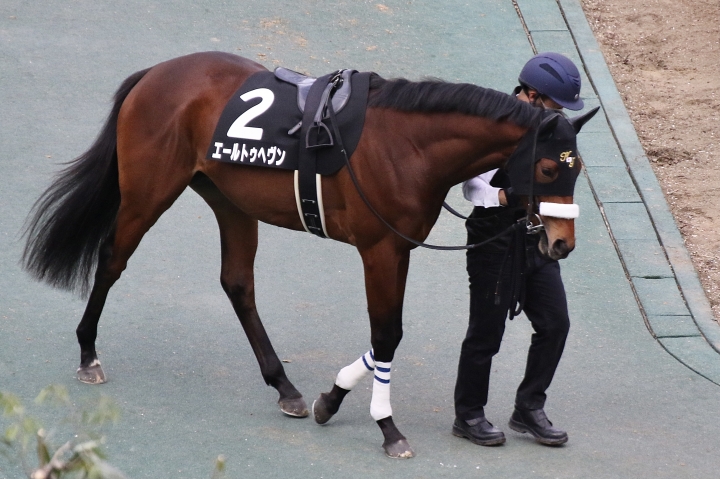 2022年1月 エールトゥヘヴン