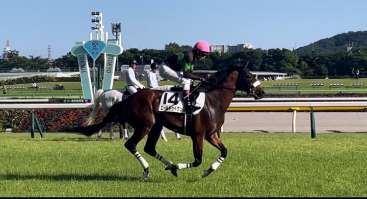 2024/6/16 3歳以上1勝クラス エールトゥヘヴン