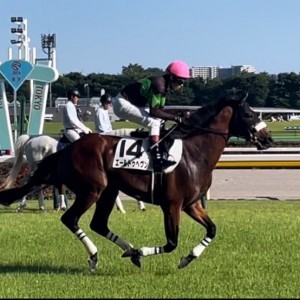2024/6/16 3歳以上1勝クラス