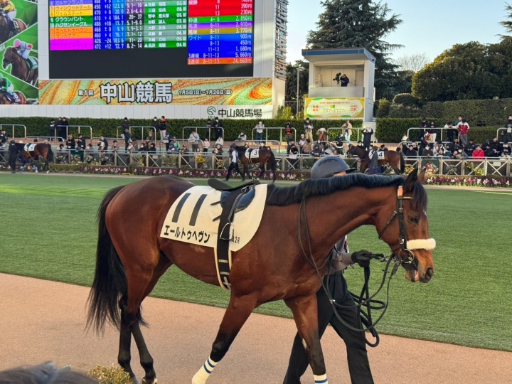 2025/1/26 4歳以上1勝クラス エールトゥヘヴン