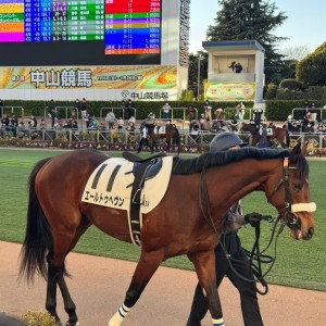 2025/1/26 4歳以上1勝クラス