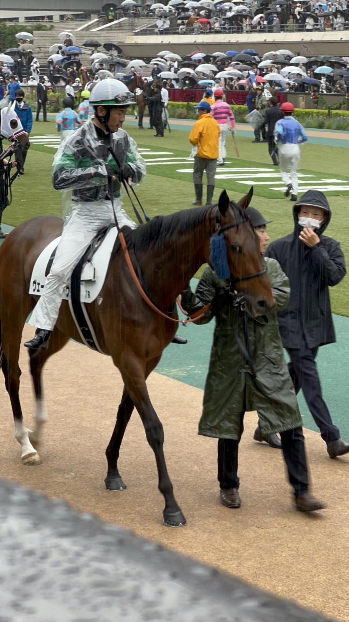 2023/5/7 4歳以上1勝クラス ヴェールアンレーヴ