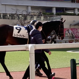 2021/12/18 2歳新馬(牝)