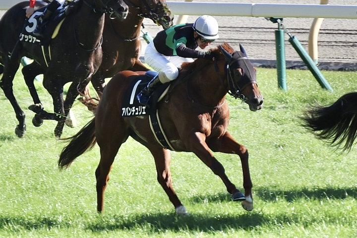 2021年11月 アバンチュリエ