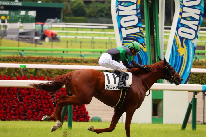 2021年6月 アバンチュリエ