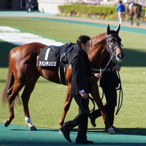 2021/11/28 ベゴニア賞(1勝クラス)