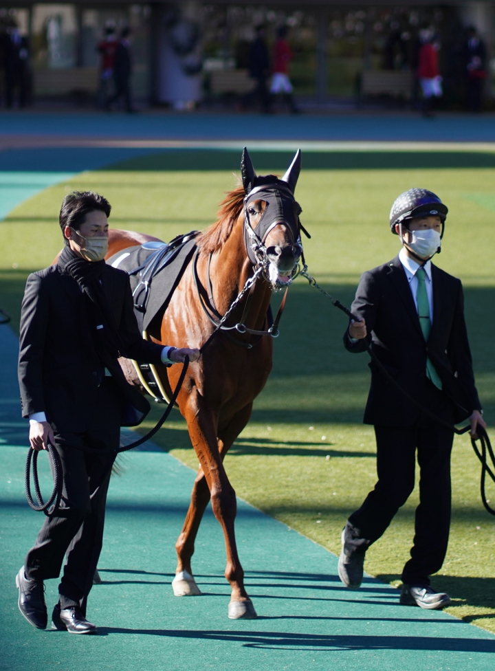 2021/11/28 ベゴニア賞(1勝クラス) アバンチュリエ