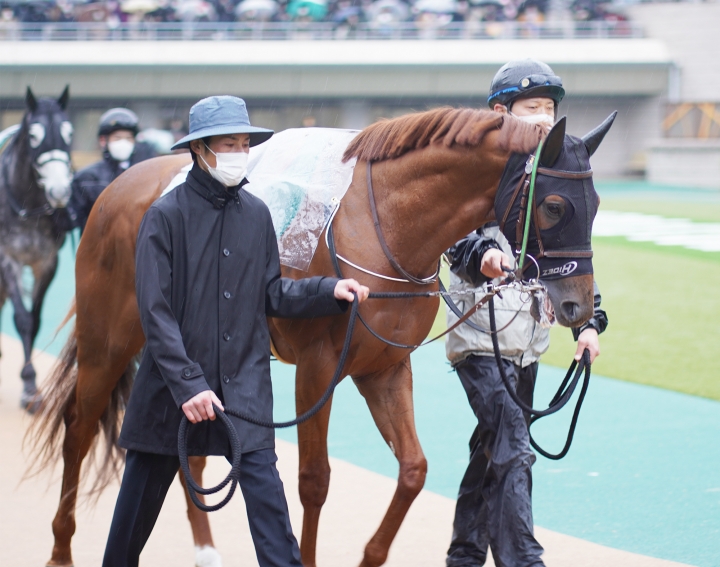 2022/2/13 共同通信杯(G3) アバンチュリエ