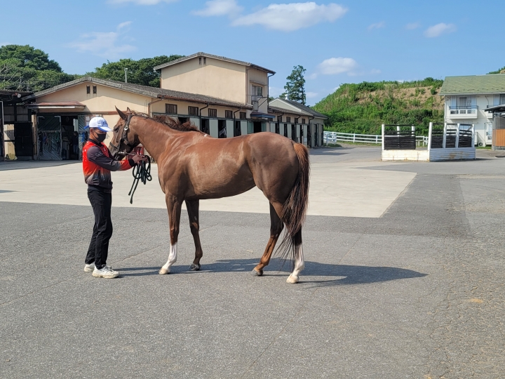 松風馬事センター ラッキーガブリエル