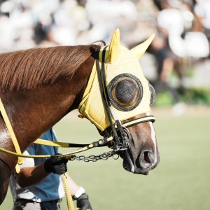 2023/9/9 3歳以上1勝クラス