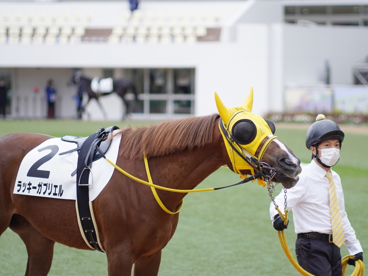 2022/1/10 3歳新馬 ラッキーガブリエル