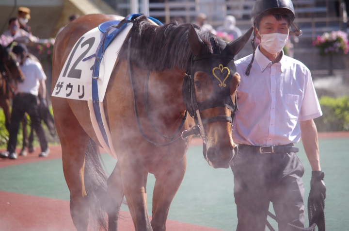 2022/6/12 中京12R 芝1200m パドック ザウリ