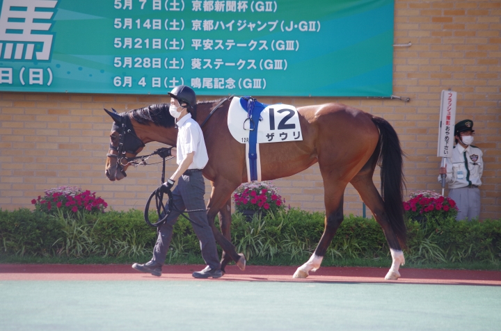 2022/6/12 中京12R 芝1200m パドック ザウリ