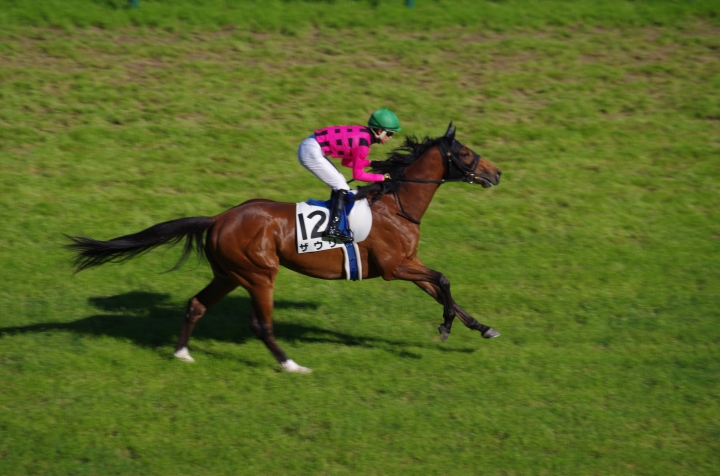 2022/6/12 中京12R 芝1200m 返し馬 ザウリ