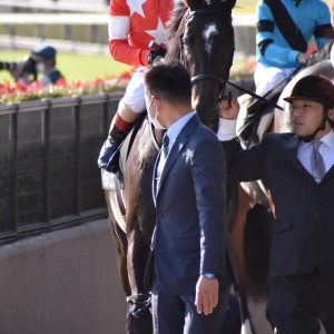 2021/11/7 百日草特別(1勝クラス)