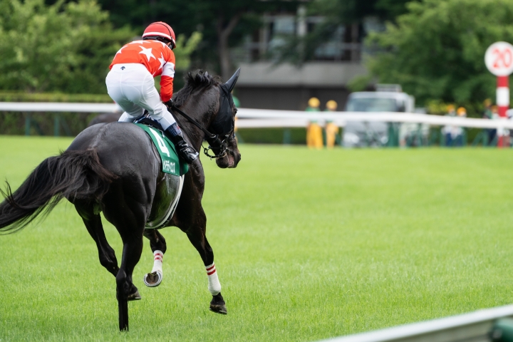 2024/7/7 七夕賞(G3) レッドラディエンス