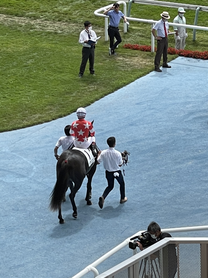 2021/8/8 2歳新馬 レッドラディエンス