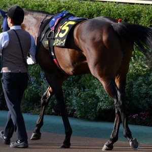 2025/11/16 オーロカップ(OP)