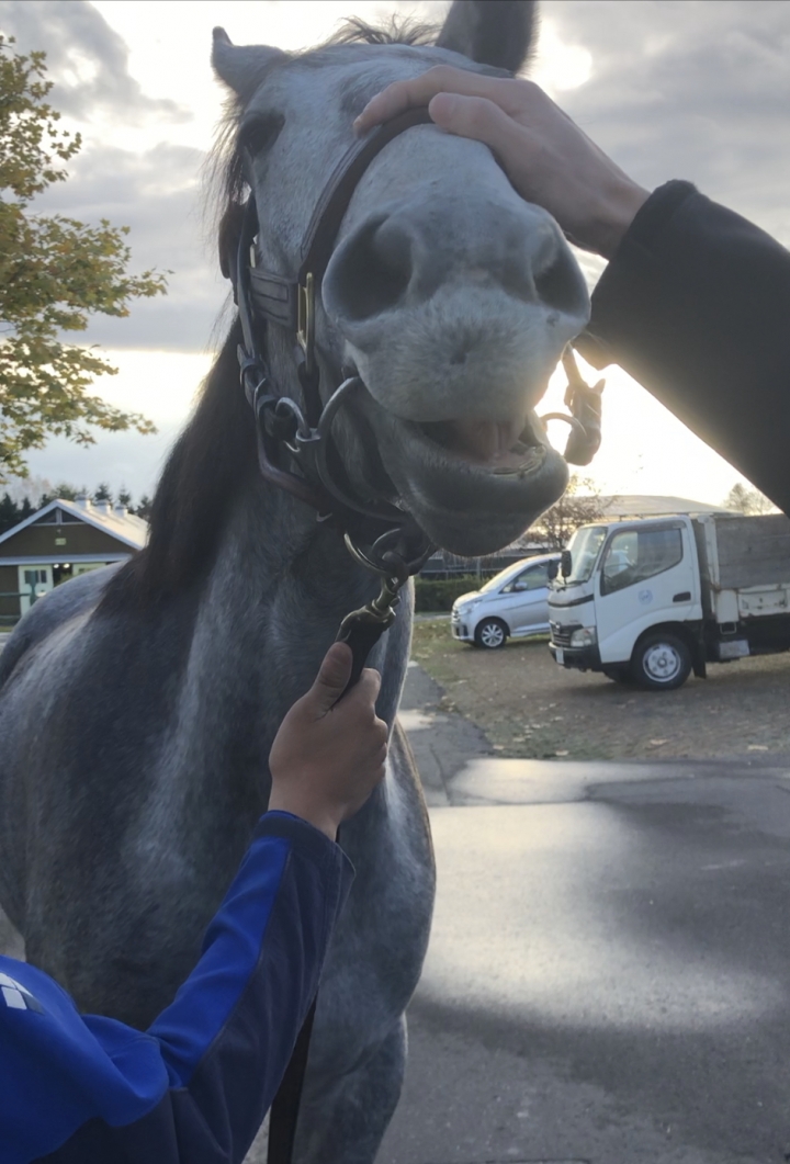 社台ファームにて ルージュエピス