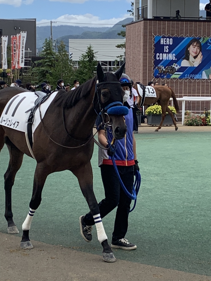 2022/8/28 3歳未勝利(牝) ルージュレイア