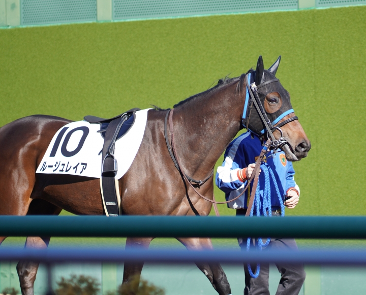 2021/12/5 2歳未勝利 ルージュレイア