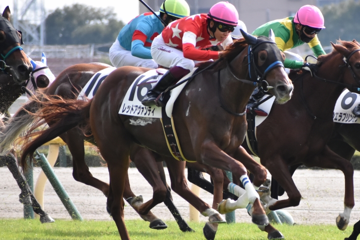 2021年11月 レッドアヴァンティ