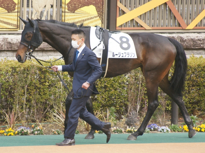 2022/2/19 3歳未勝利(牝) ルージュブラゾン