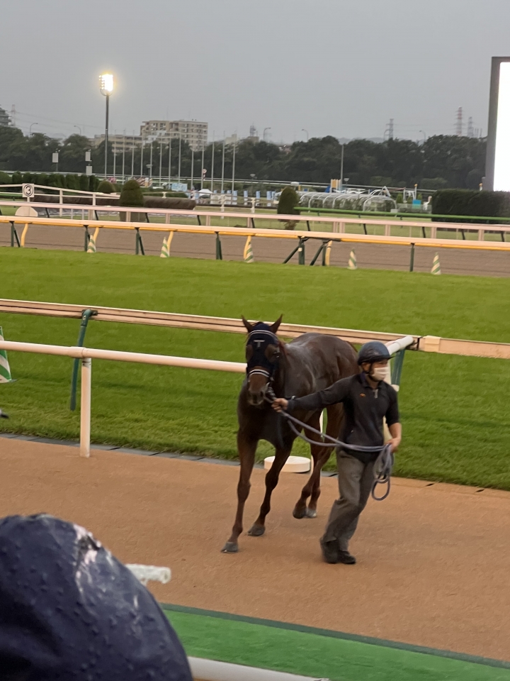2022/10/9 3歳以上2勝クラス レッドゲイル