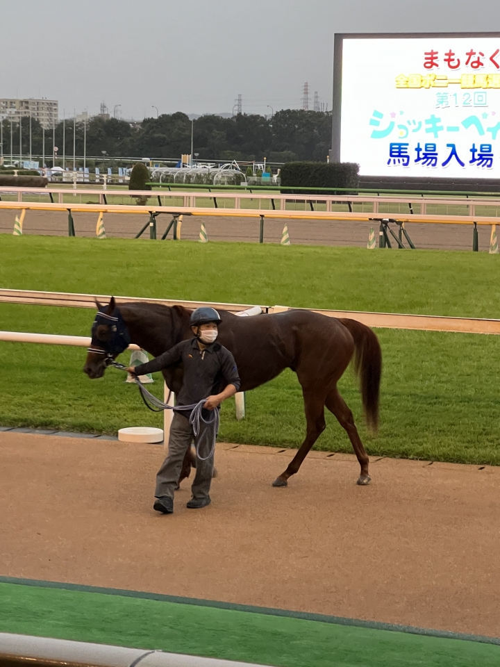 2022/10/9 3歳以上2勝クラス レッドゲイル