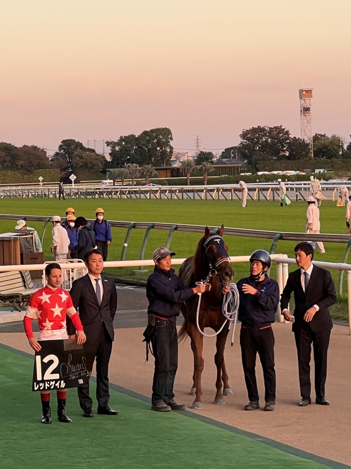 2022/10/30 秋嶺S(3勝クラス) レッドゲイル