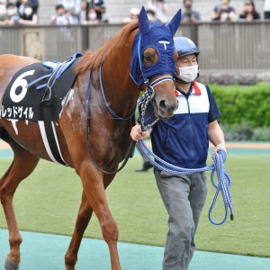 2022/6/18 三浦特別(2勝クラス)