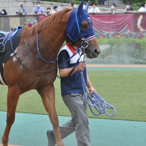 2022/6/18 三浦特別(2勝クラス)