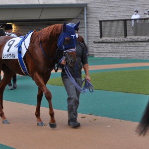 2022/10/9 3歳以上2勝クラス