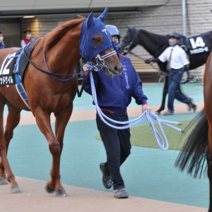 2022/10/30 秋嶺S(3勝クラス)