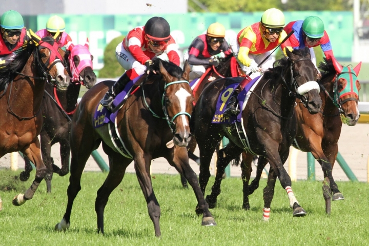 直線 ルージュエヴァイユ