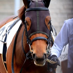 2021.11.21 メイクデビュー東京