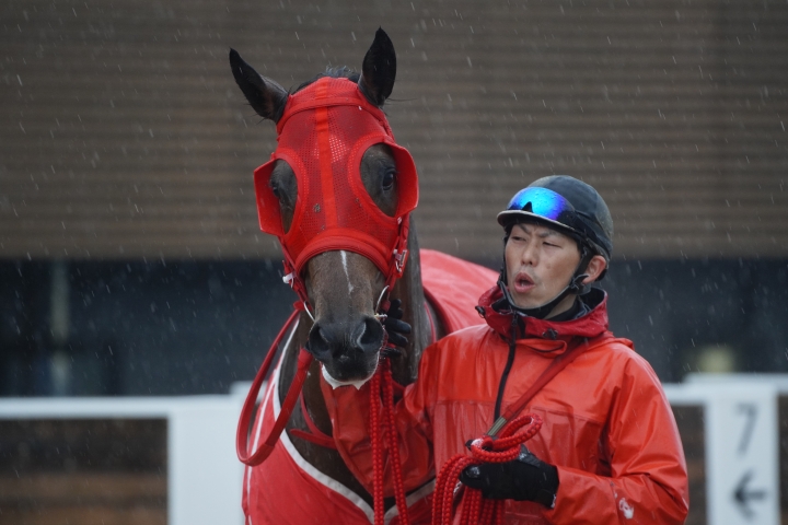 2023/3/18 韓国馬事会杯(3勝クラス) レッドラパルマ