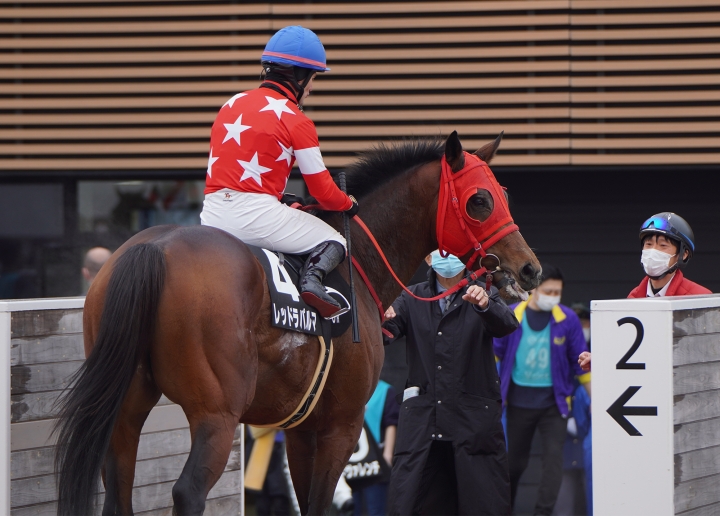 2023/1/14 アレキサンドライトS(3勝クラス) レッドラパルマ